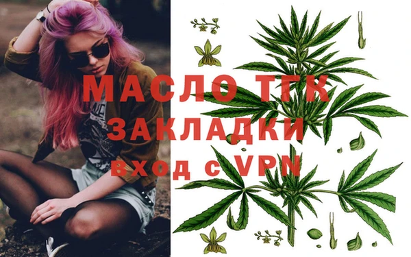 стаф Ладушкин
