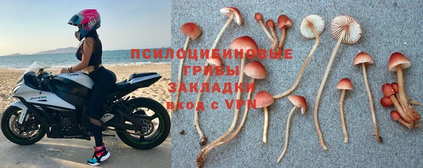 ALPHA PVP Куйбышев