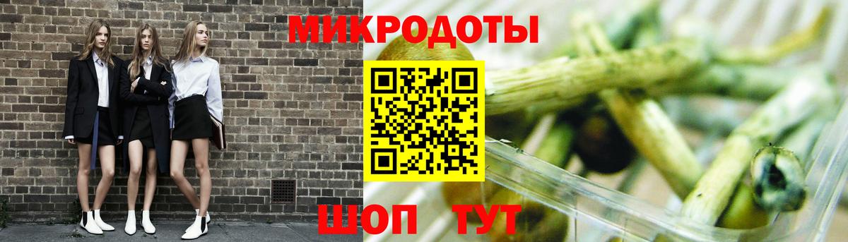 Галлюциногенные грибы Psilocybine cubensis  где купить наркоту  Менделеевск  Вход с VPN  Галлюциногенные грибы мицелий 